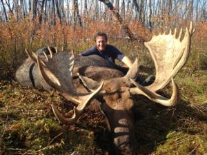 Moose Hunts